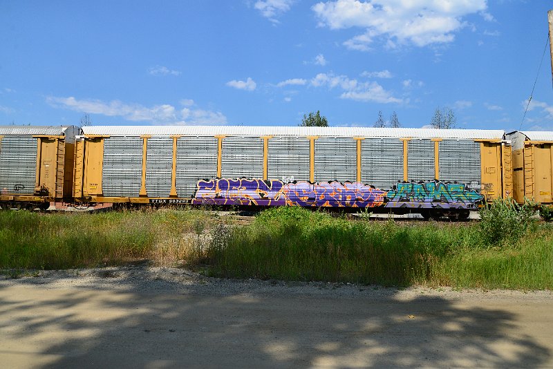 DSC_0737.JPG