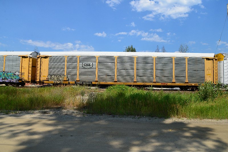 DSC_0738.JPG