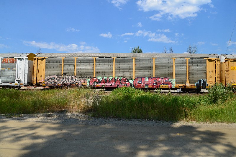 DSC_0740.JPG