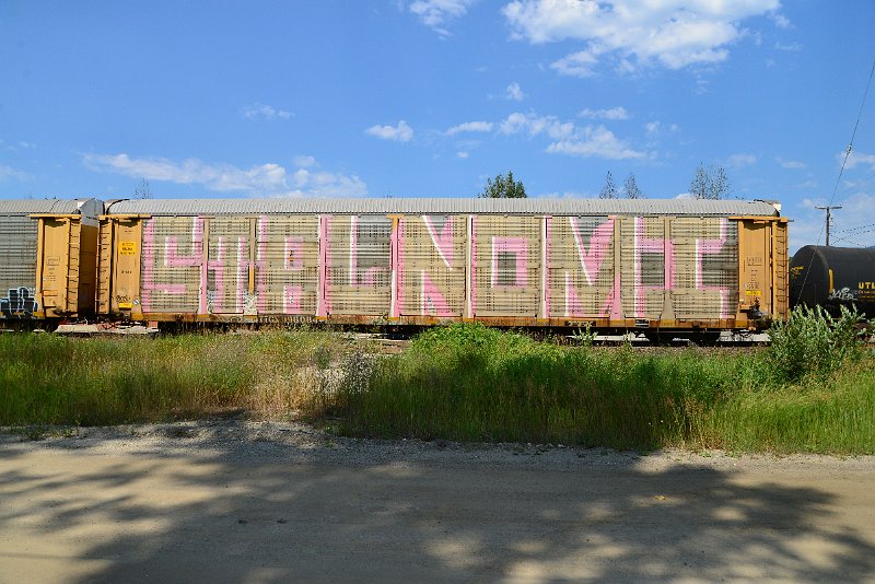 DSC_0741.JPG