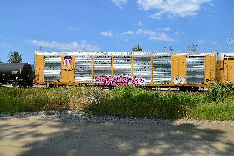 DSC_0744.JPG