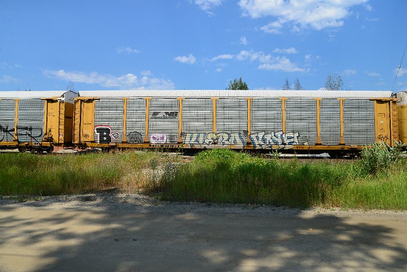 DSC_0746.JPG