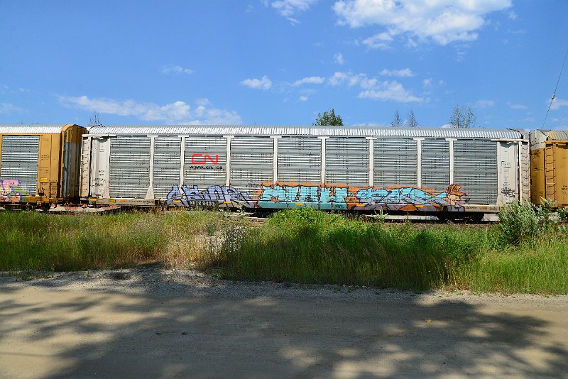 DSC_0752.JPG