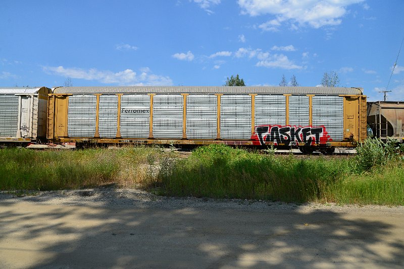 DSC_0753.JPG