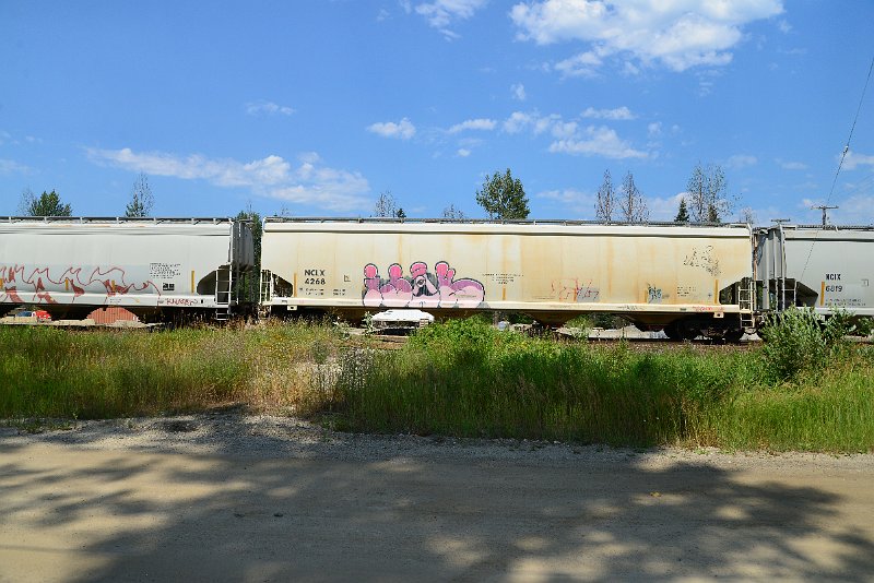 DSC_0756.JPG