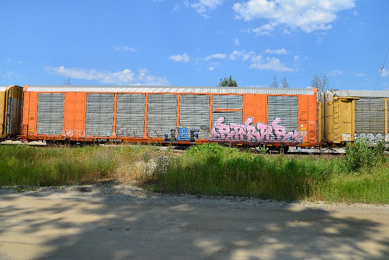 DSC_0761.JPG