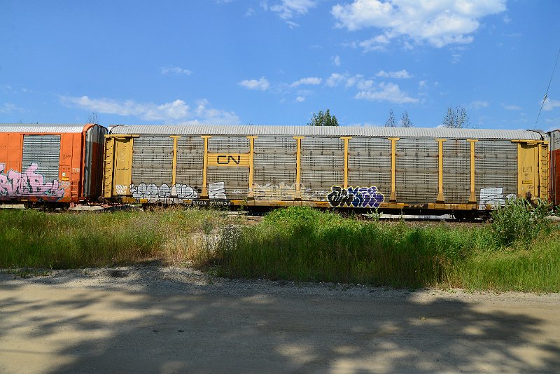 DSC_0762.JPG