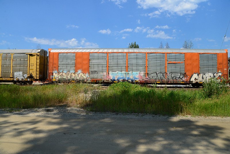 DSC_0763.JPG