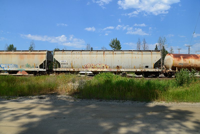 DSC_0765.JPG
