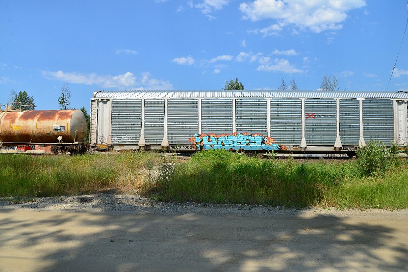 DSC_0767.JPG