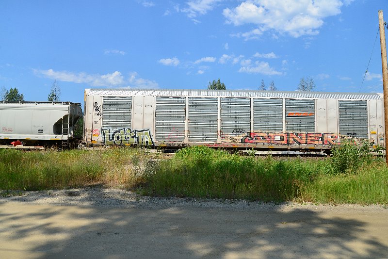 DSC_0770.JPG