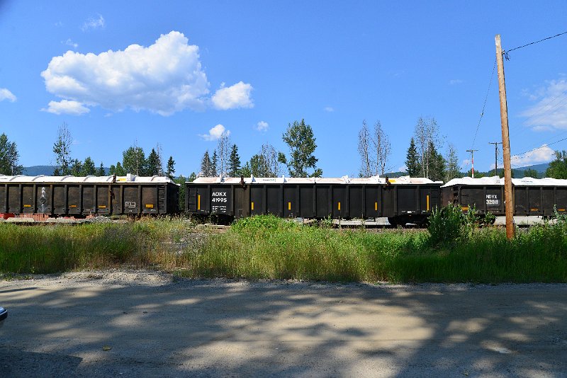 DSC_0780.JPG