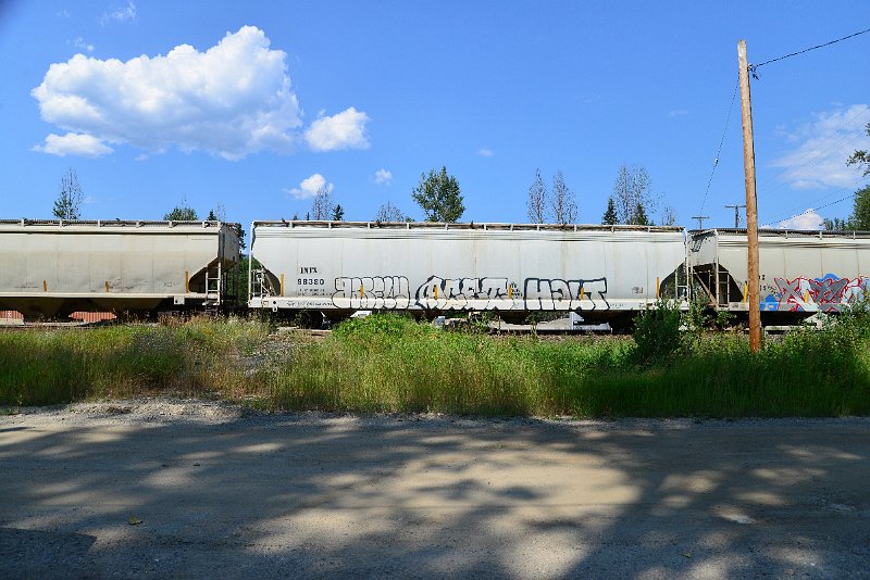 DSC_0786.JPG