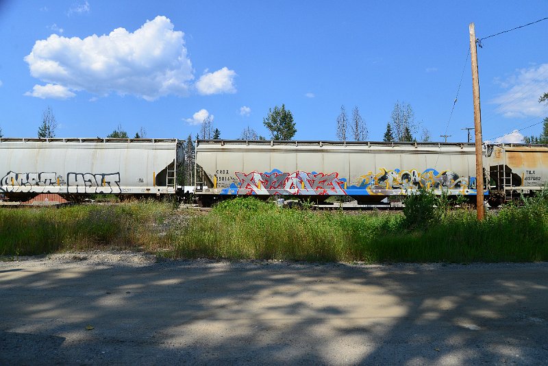 DSC_0787.JPG