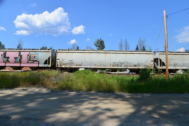 DSC_0790.JPG