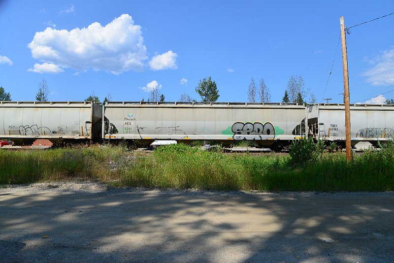 DSC_0791.JPG