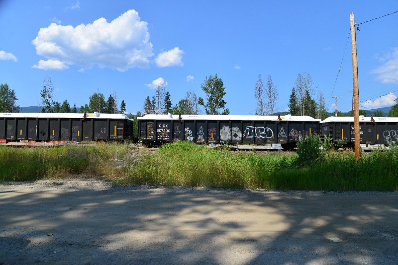 DSC_0795.JPG