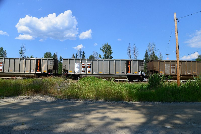 DSC_0817.JPG