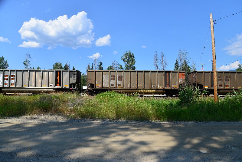 DSC_0818.JPG