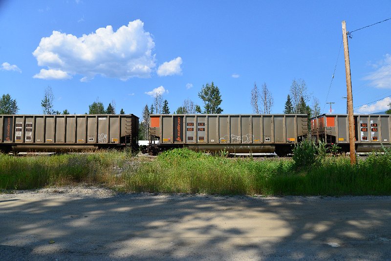 DSC_0823.JPG