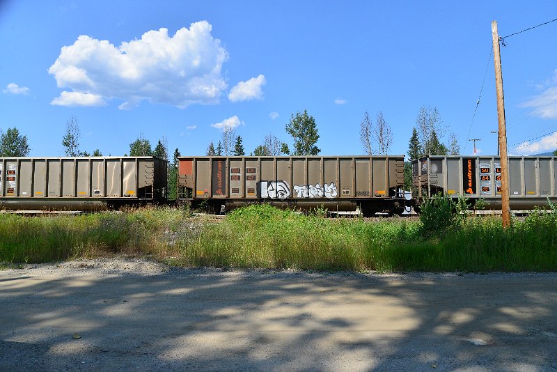DSC_0837.JPG