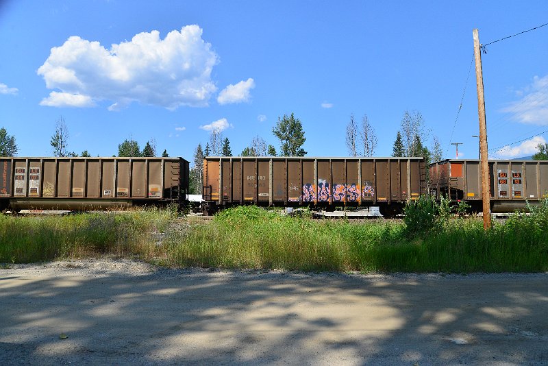 DSC_0843.JPG