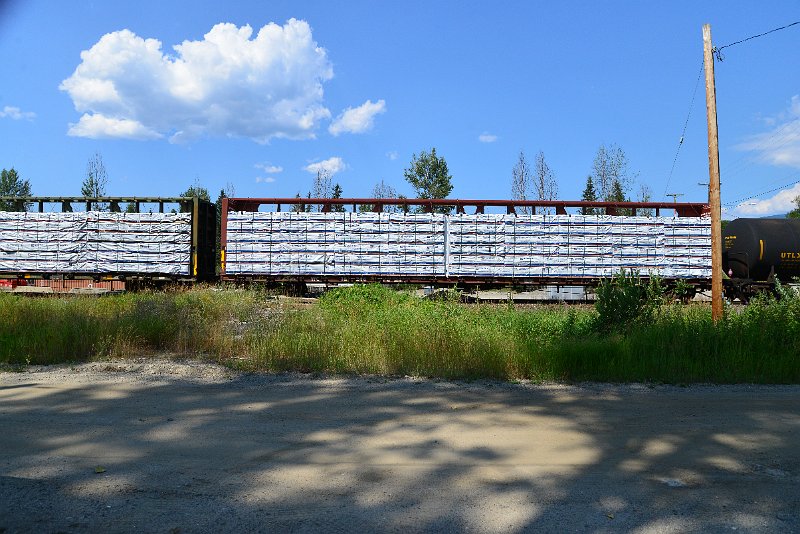 DSC_0863.JPG
