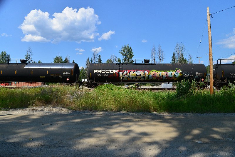 DSC_0875.JPG
