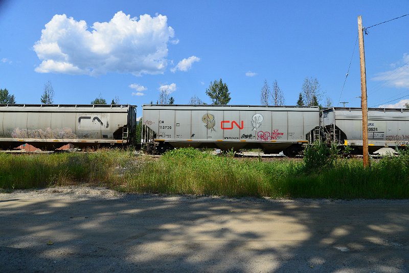 DSC_0889.JPG
