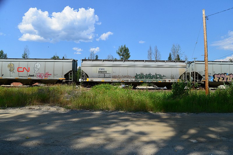 DSC_0890.JPG