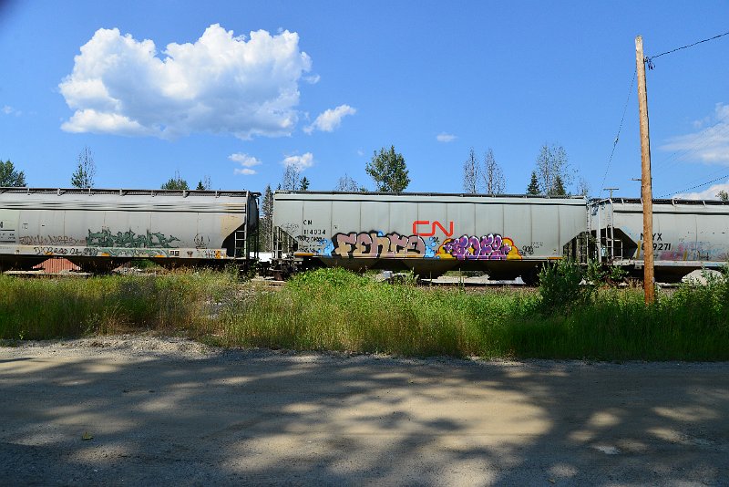 DSC_0891.JPG