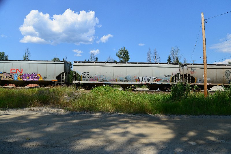 DSC_0892.JPG