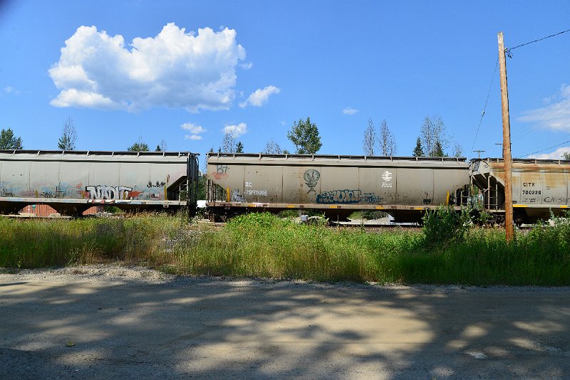 DSC_0893.JPG