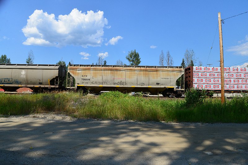 DSC_0894.JPG
