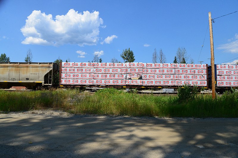 DSC_0895.JPG