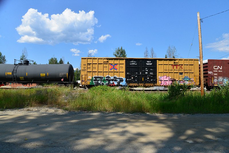 DSC_0904.JPG