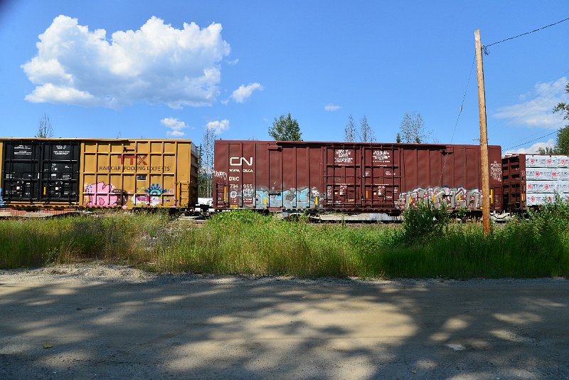 DSC_0905.JPG