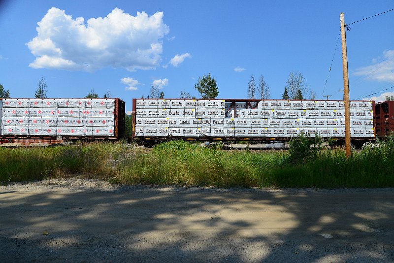 DSC_0908.JPG