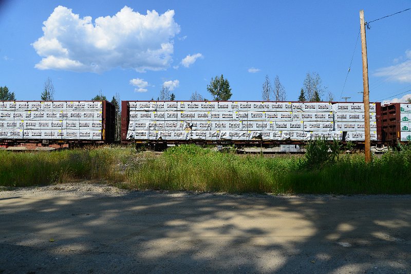 DSC_0909.JPG