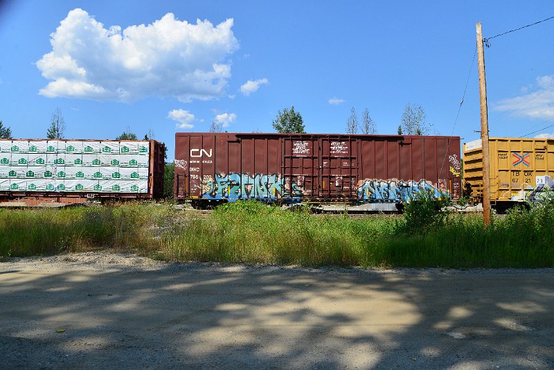 DSC_0917.JPG