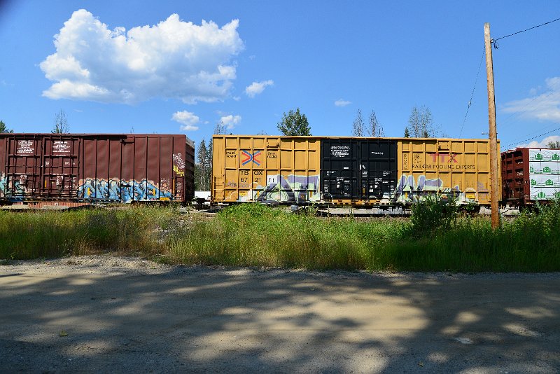 DSC_0918.JPG