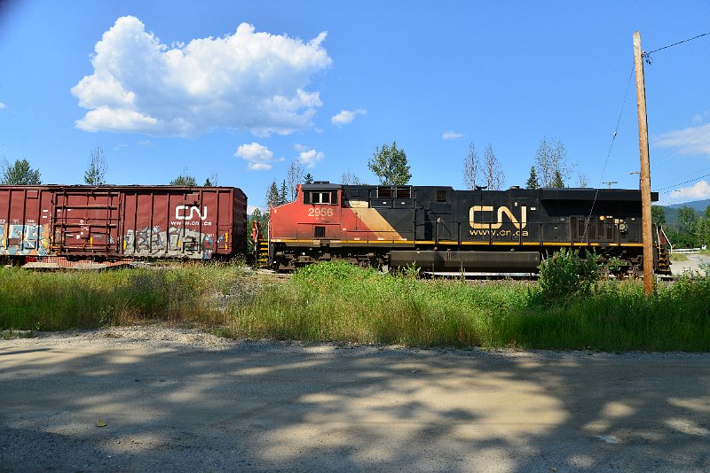 DSC_0931.JPG