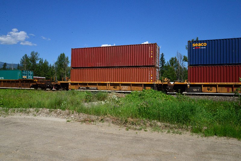 DSC_1495.JPG