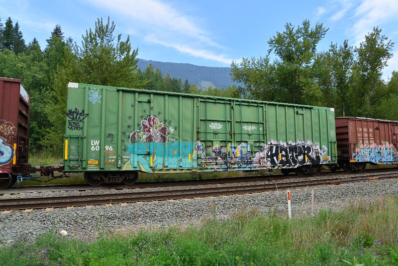 DSC_7242.JPG