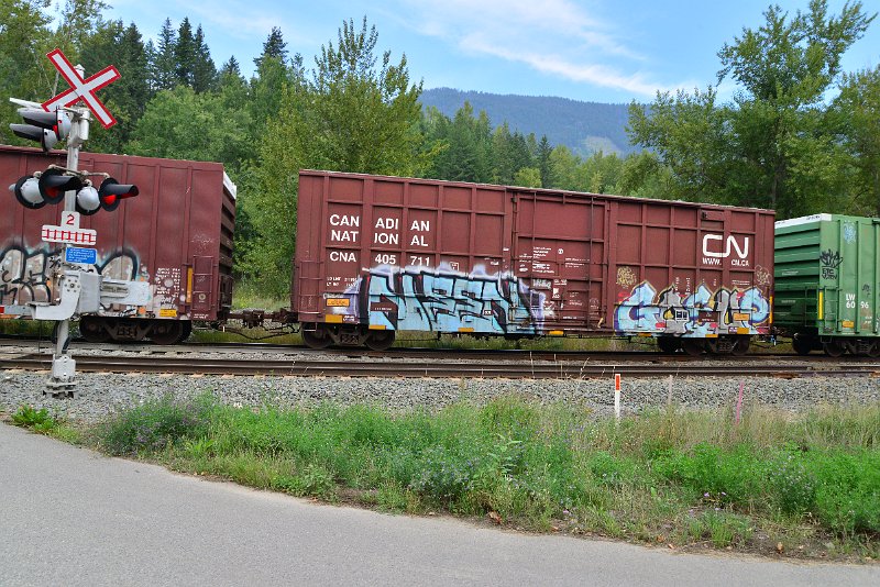 DSC_7243.JPG
