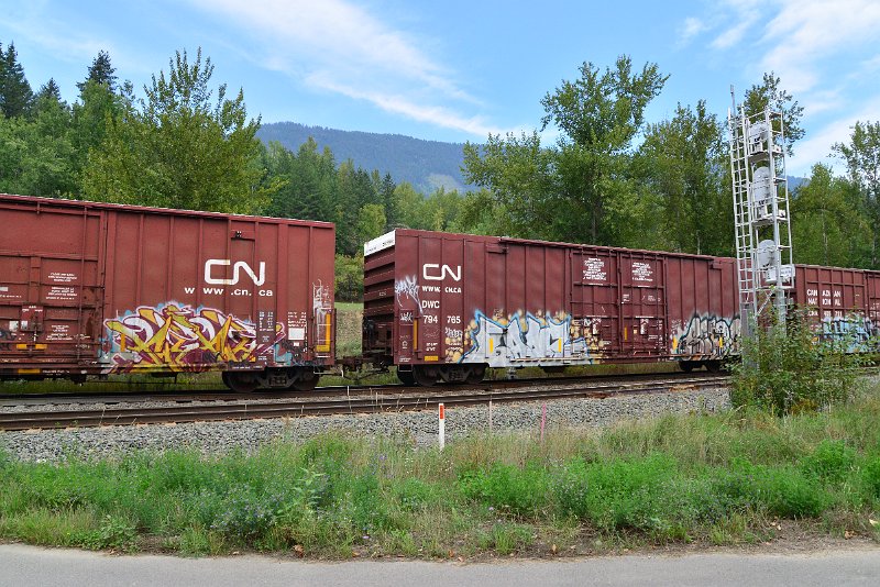 DSC_7244.JPG