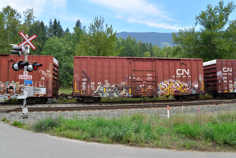 DSC_7245.JPG