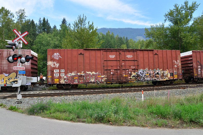 DSC_7246.JPG