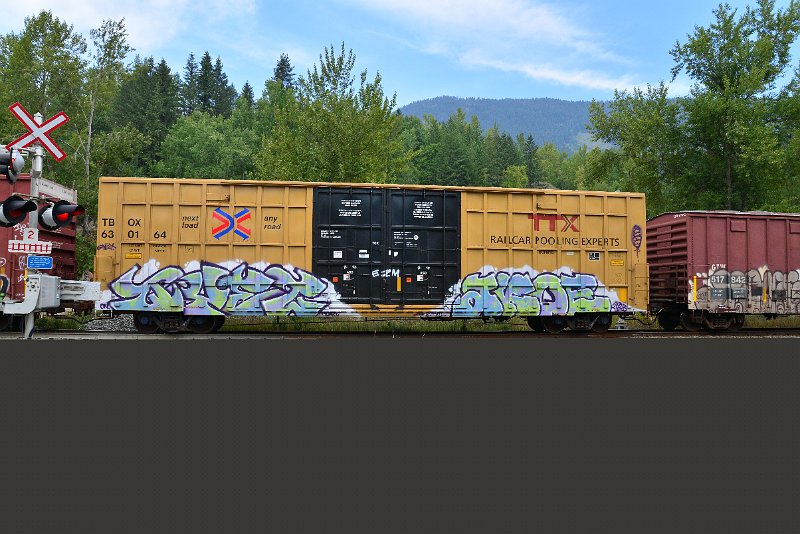 DSC_7249.JPG