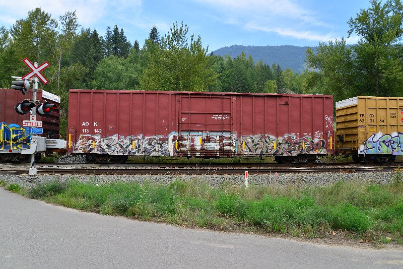 DSC_7250.JPG